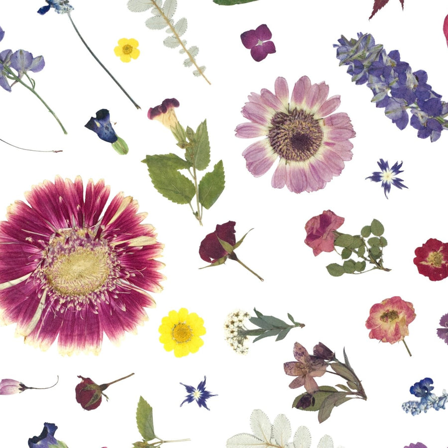 Subscriptions - Microfleur