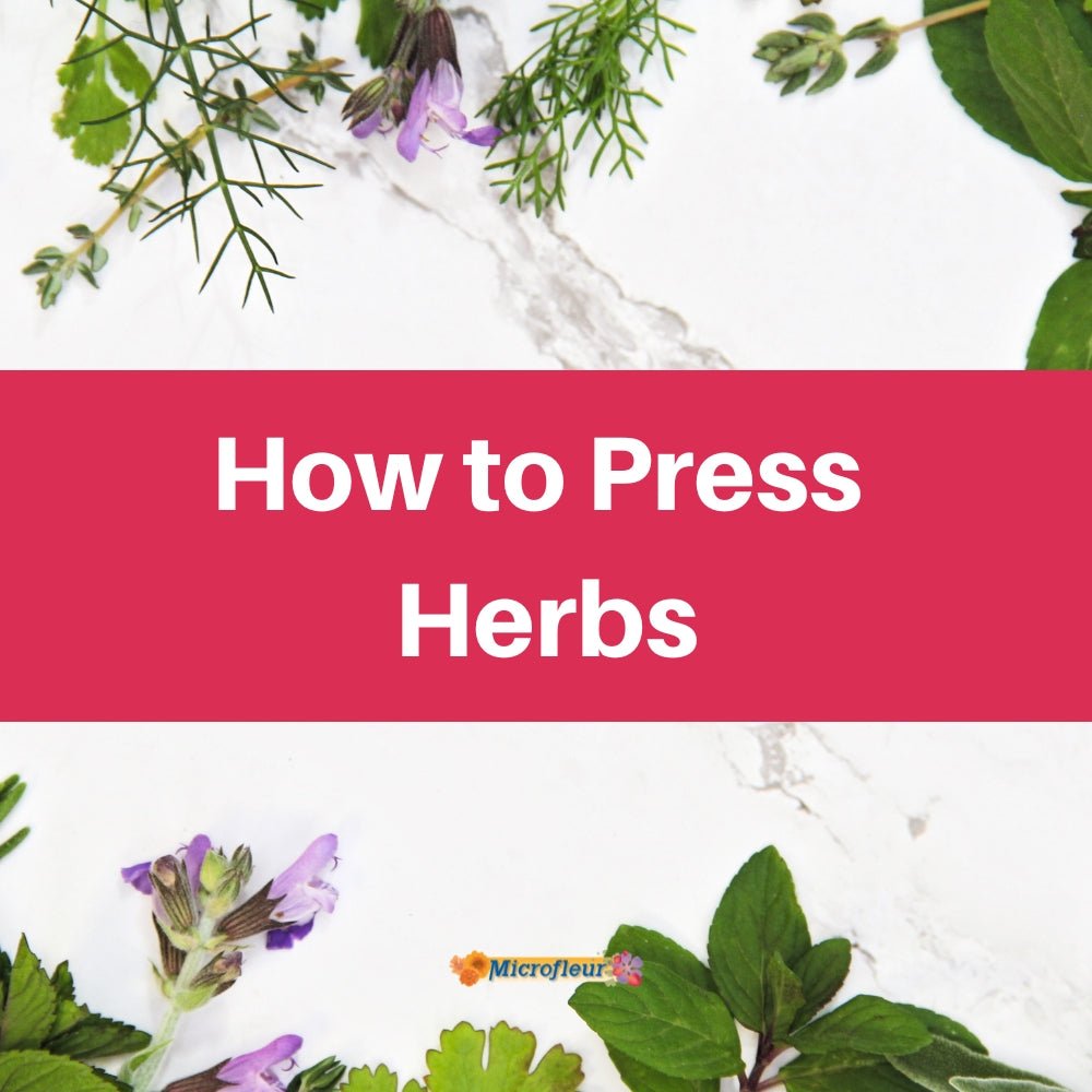 A flat-lay photo of various fresh herbs, including mint and dill, arranged around the edges of a marble surface. A large pink banner is laid across the center of the image, which reads "How to Press Herbs."