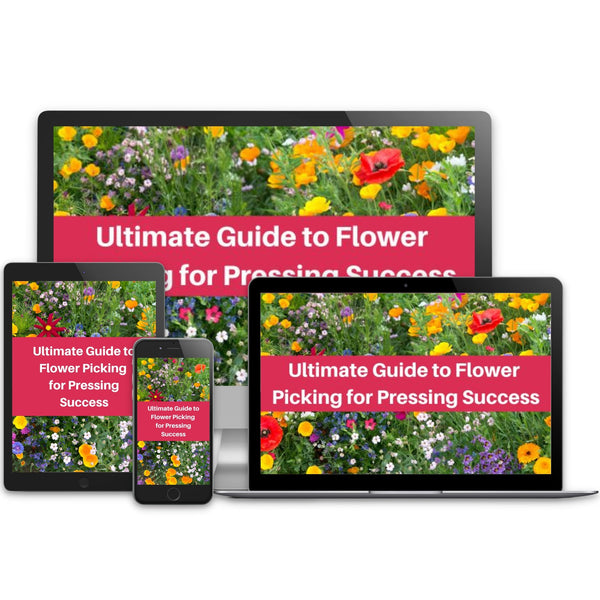 A composite image showing the "Ultimate Guide to Flower Picking" online course video displayed on a laptop, desktop monitor, tablet, and smartphone. The screens show a close-up of a field of colorful wildflowers, illustrating that the content is accessible on various devices.