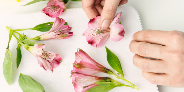 How to Press Flowers with a Microfleur® Microwave Flower Press