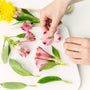 How to Press Flowers with a Microfleur® Microwave Flower Press