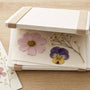 Beginner's Guide to Pressed Flower Art