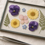 Pressed Flower Art Ideas