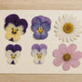 Best Flowers for Pressing: A Simple Guide