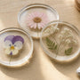 Pressed Flower Coasters FAQ: Resin, Drying, Care