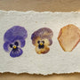 Why Flowers Turn Brown in Handmade Paper
