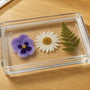 Pressed Flower Tray Problems and Fixes