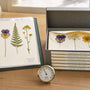 Pressed Flower Storage Box vs Binder