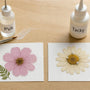 PVA Glue vs Tacky Glue for Pressed Flowers