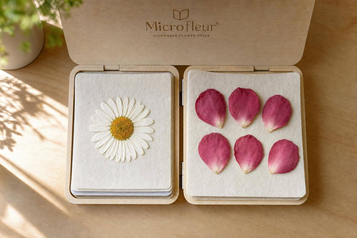 Daisy vs Rose for Pressing: Flower ID