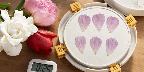 What Flowers to Avoid Pressing in Microwave