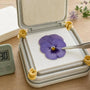 Pressed Flowers Crack: 8 Fixes