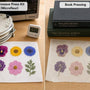 Microwave Press Kit vs Book Press For Beginners