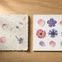 Pressed Flower Paper: Glue or Pulp?