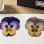 Why Flower Gift Kits Lose Color