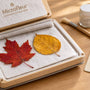 Microwave Pressing Preserves Fall Leaf Color