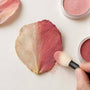 Pan Pastels Restore Pressed Flower Color