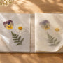 Glassine vs Parchment for Pressed Flowers