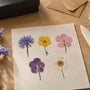 5 Wildflower Pressing Mistakes