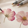 Alcohol Markers Tint Pressed Cosmos Flowers