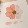 Pressed Flower Tinting Helps Color Last