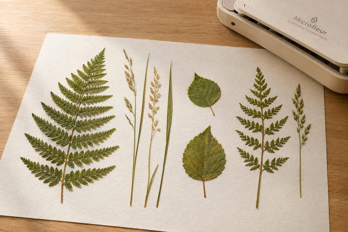 Wild ferns, grasses, leaves: pressing notes