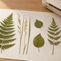 Wild ferns, grasses, leaves: pressing notes