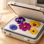 Microwave Flower Press Keeps Colors Bright