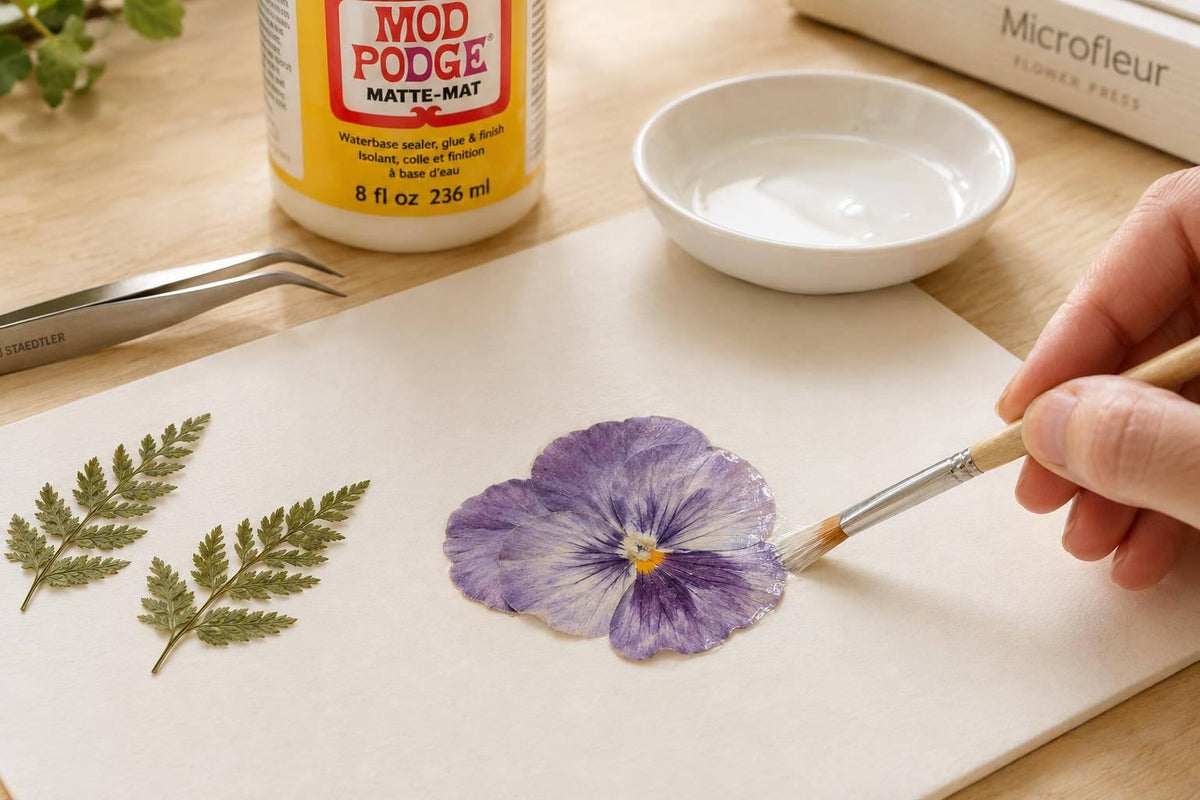 Pressed Flower Art: How to Glue Dried Flowers