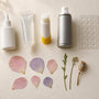 5 Glues for Pressed Flowers: Uses and Tips