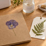 Varnish Protects Pressed Flowers: 2 Methods