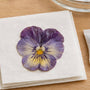 Why Pressed Flowers Feel Damp After Drying