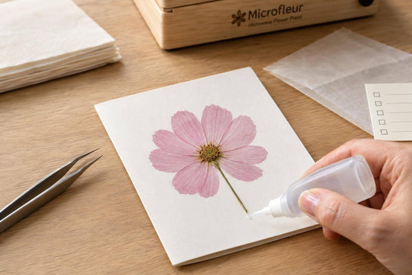 Pressed Flower Card Checklist for Clean Results