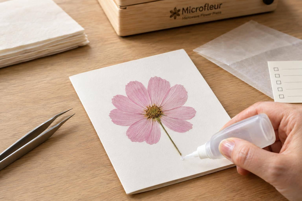 Pressed Flower Card Checklist for Clean Results