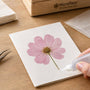 Pressed Flower Card Checklist for Clean Results