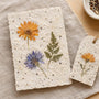 DIY Pressed Flower Seed Paper for Cards