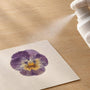 UV Spray Sealers for Pressed Petals: Color Care FAQ