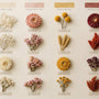 Dried Flower Identification Chart