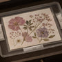 Silica Gel Packs for Pressed Flowers: Storage Guide