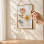 Pressed Flowers Fade in Floating Frames: Care Tips