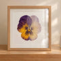 Can UV-Resistant Sealers Stop Pressed Flower Fading?