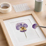 Pressed Flower Framing Kits: Which Glue Works?