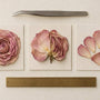 Whole Roses vs. Rose Petals: Pressing Compared