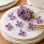 How to Press Lilacs in a Microwave Flower Press