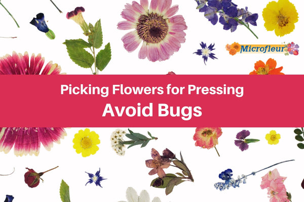Avoid Bugs - Microfleur