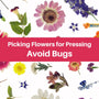 Avoid Bugs - Learn about the creatures that want to sabotage your projects. - Microfleur