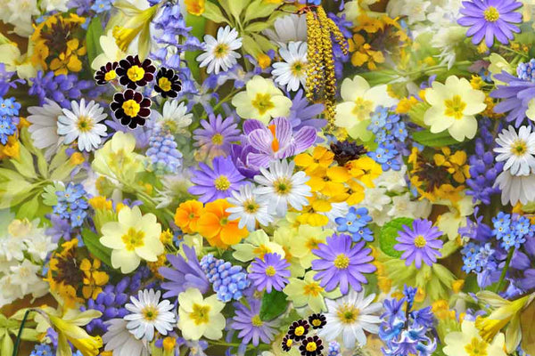 Color Retention - Microfleur
