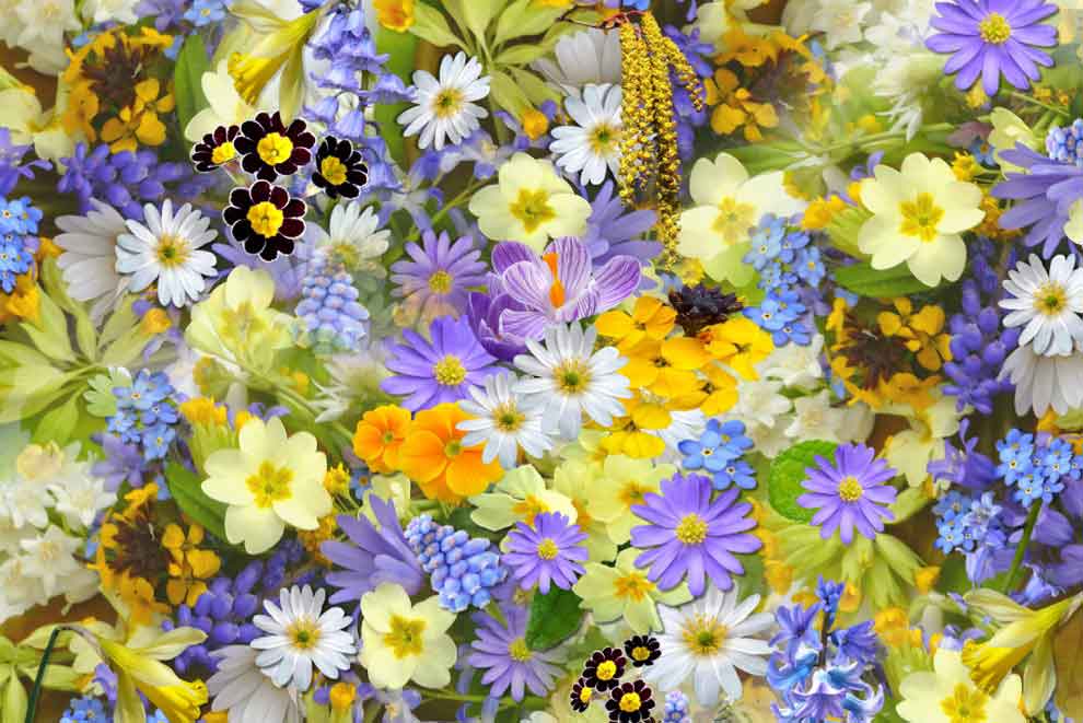 Color Retention - Microfleur