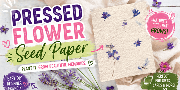 DIY Pressed Flower Seed Paper - Microfleur