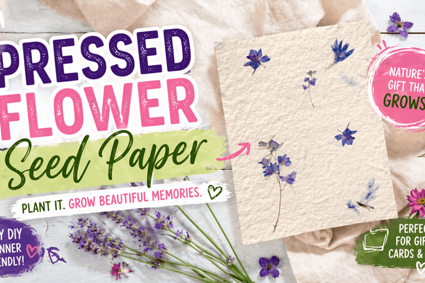 DIY Pressed Flower Seed Paper - Microfleur